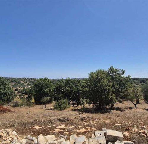 Terreno a Ostuni in Strada Provinciale 17 - Foto 3