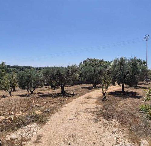 Terreno a Ostuni in Strada Provinciale 17 - Foto 4