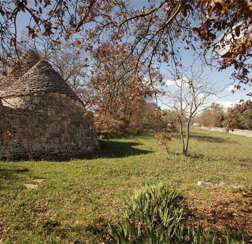 Rustico / casale a Ostuni in Martellotti - Foto 3