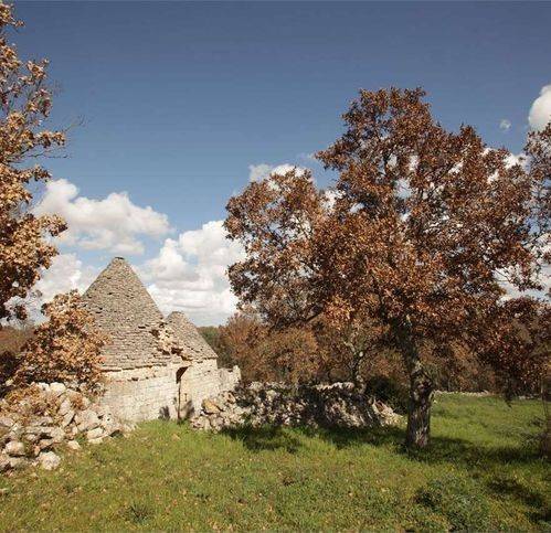 Rustico / casale a Ostuni in Martellotti - Foto 4