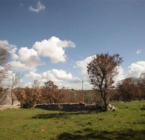 Rustico / casale a Ostuni in Martellotti - Foto 5