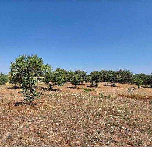 Rustico / casale a Martina franca in Pipiriello - Foto 5