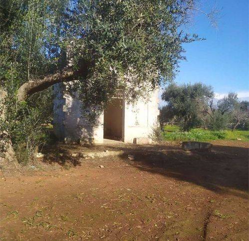 Rustico / casale a Francavilla fontana in Strada Provinciale 28 - Foto 2
