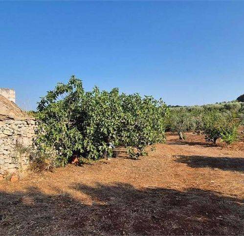 Rustico / casale a Ceglie messapica in Strada Senza Nome - Foto 2