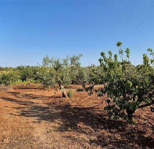 Rustico / casale a Ceglie messapica in Strada Senza Nome - Foto 4