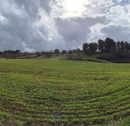 Rustico / casale a Ostuni in Contrada Martellotti - Foto 4