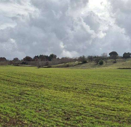Rustico / casale a Ostuni in Contrada Martellotti - Foto 5