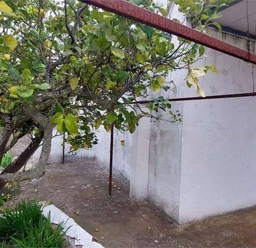 Rustico / casale a San michele salentino in Via Redipuglia - Foto 4
