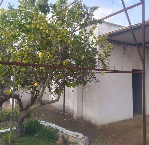 Rustico / casale a San michele salentino in Via Redipuglia - Foto 5