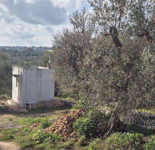 Rustico / casale a Ostuni in Via Ludovico Pepe - Foto 2