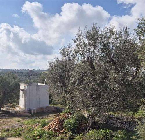 Rustico / casale a Ostuni in Via Ludovico Pepe - Foto 4