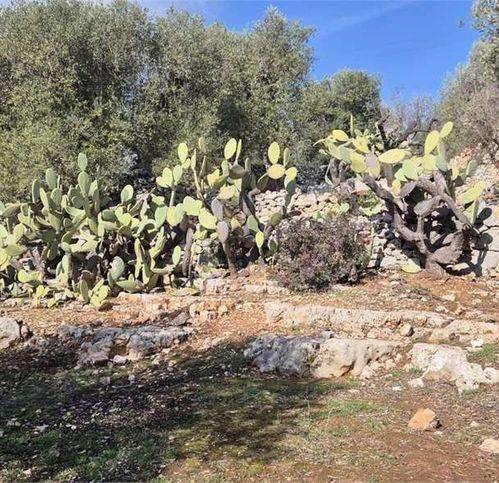 Rustico / casale a Ostuni in Via Ludovico Pepe - Foto 5