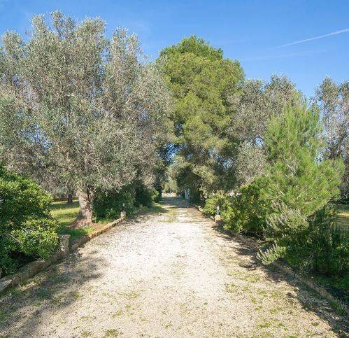 Villa a Oria in Contrada Laurito - Foto 3