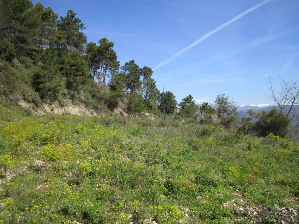 Terreno a Camporosso - Foto 2