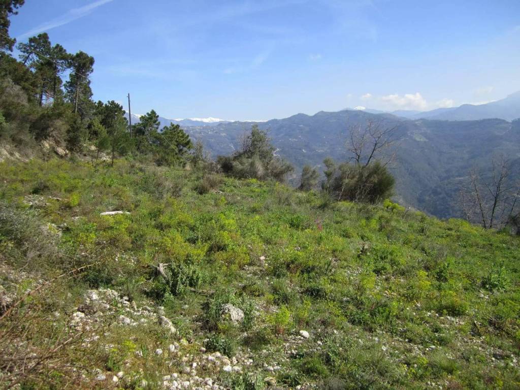 Terreno a Camporosso - Foto 3