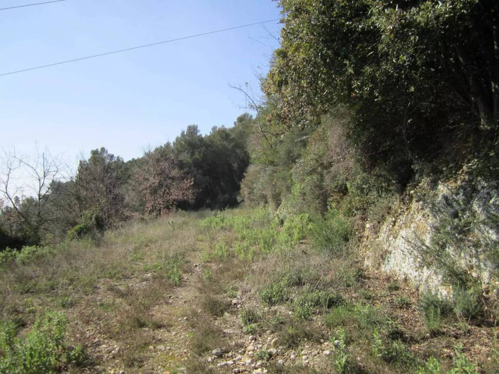 Terreno a Camporosso - Foto 4