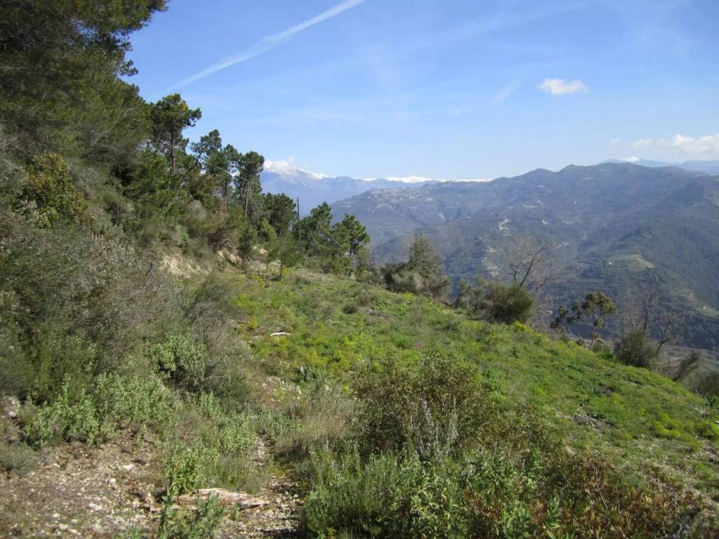 Terreno a Camporosso - Foto 5