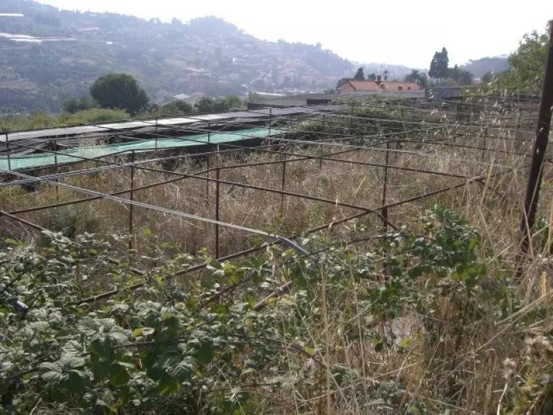 Terreno a Bordighera - Foto 2