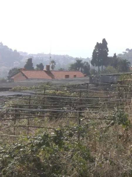 Terreno a Bordighera - Foto 3