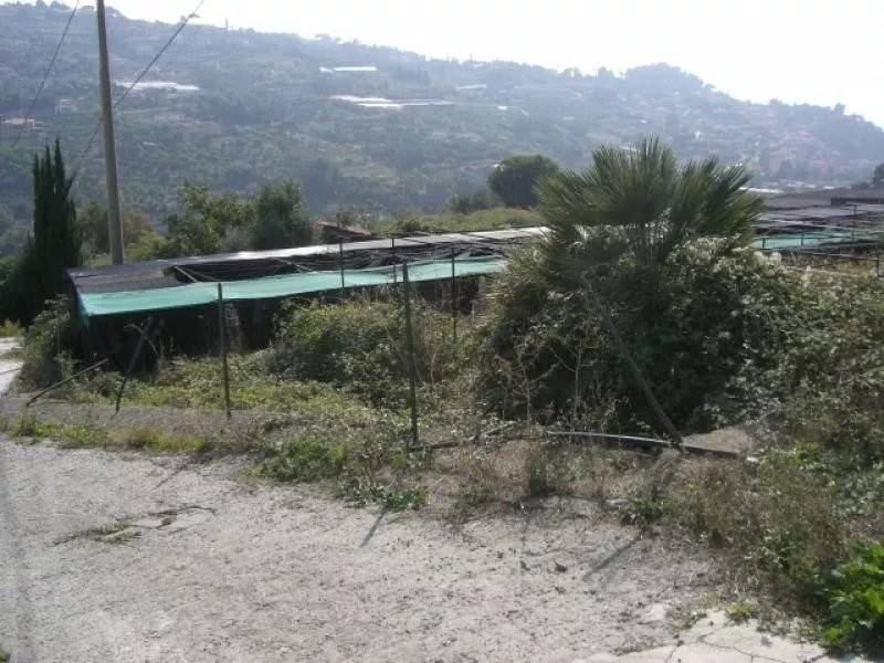 Terreno a Bordighera - Foto 4