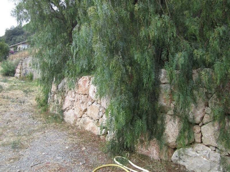 Villa a Bordighera - Foto 4