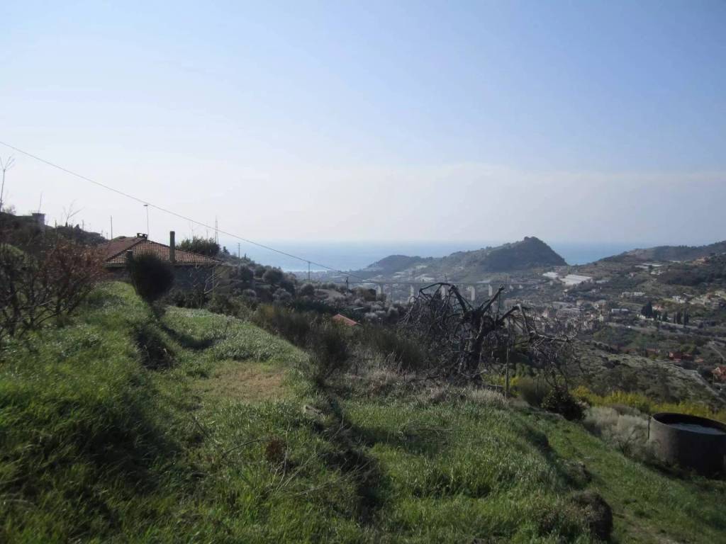 Casa indipendente a Vallebona - Foto 2