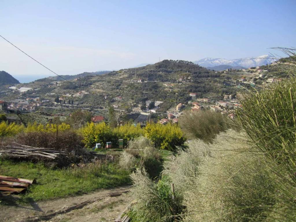 Casa indipendente a Vallebona - Foto 4