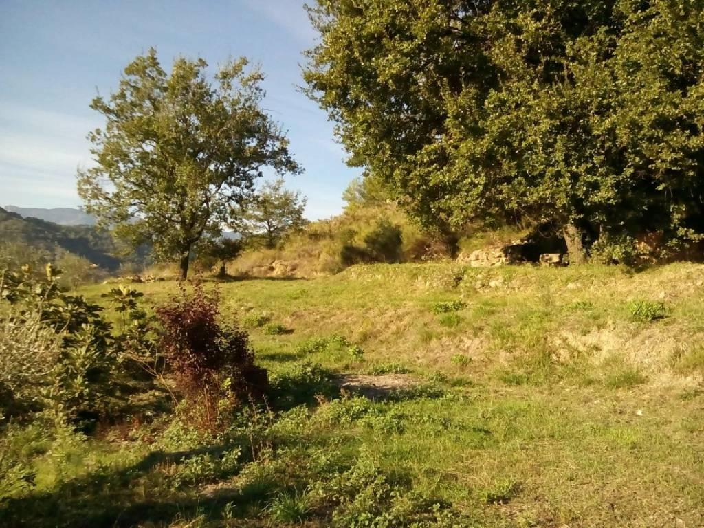 Terreno a Vallebona - Foto 3