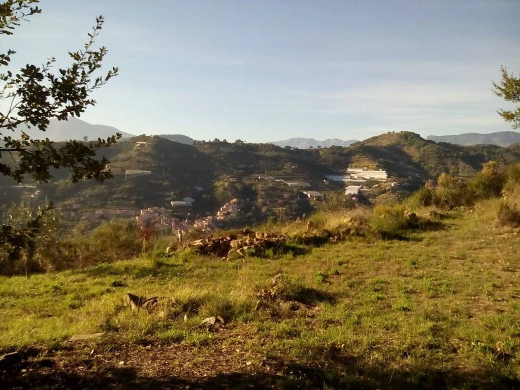 Terreno a Vallebona - Foto 5