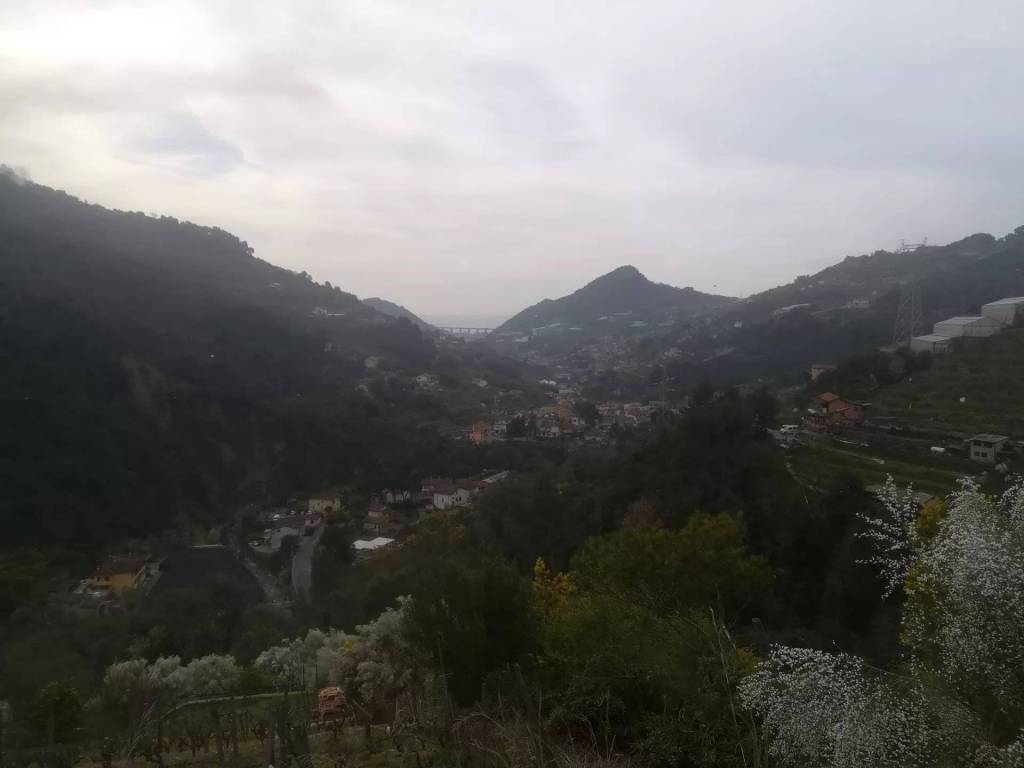Terreno a Soldano - Foto 2
