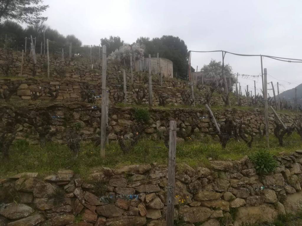 Terreno a Soldano - Foto 4
