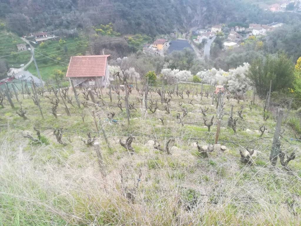 Terreno a Soldano - Foto 5