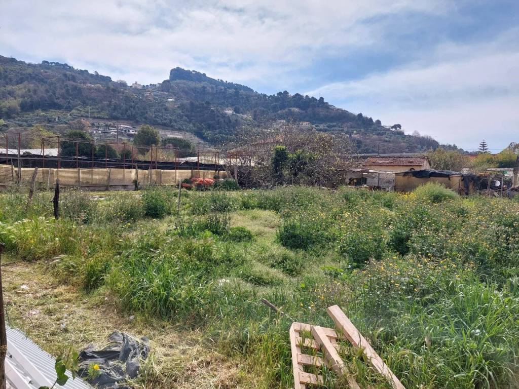 Terreno a Camporosso - Foto 4