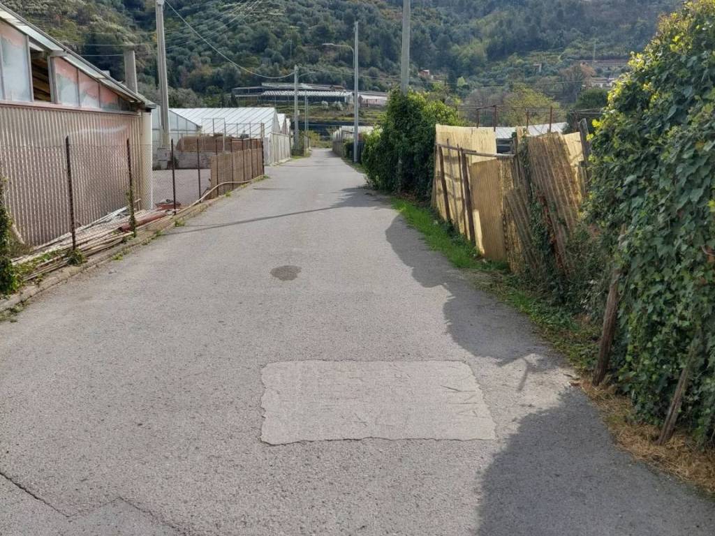 Terreno a Camporosso - Foto 5