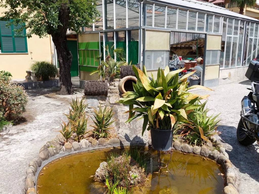 Casa indipendente a Bordighera - Foto 3