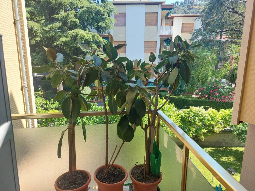 Appartamento a Bordighera - Foto 2