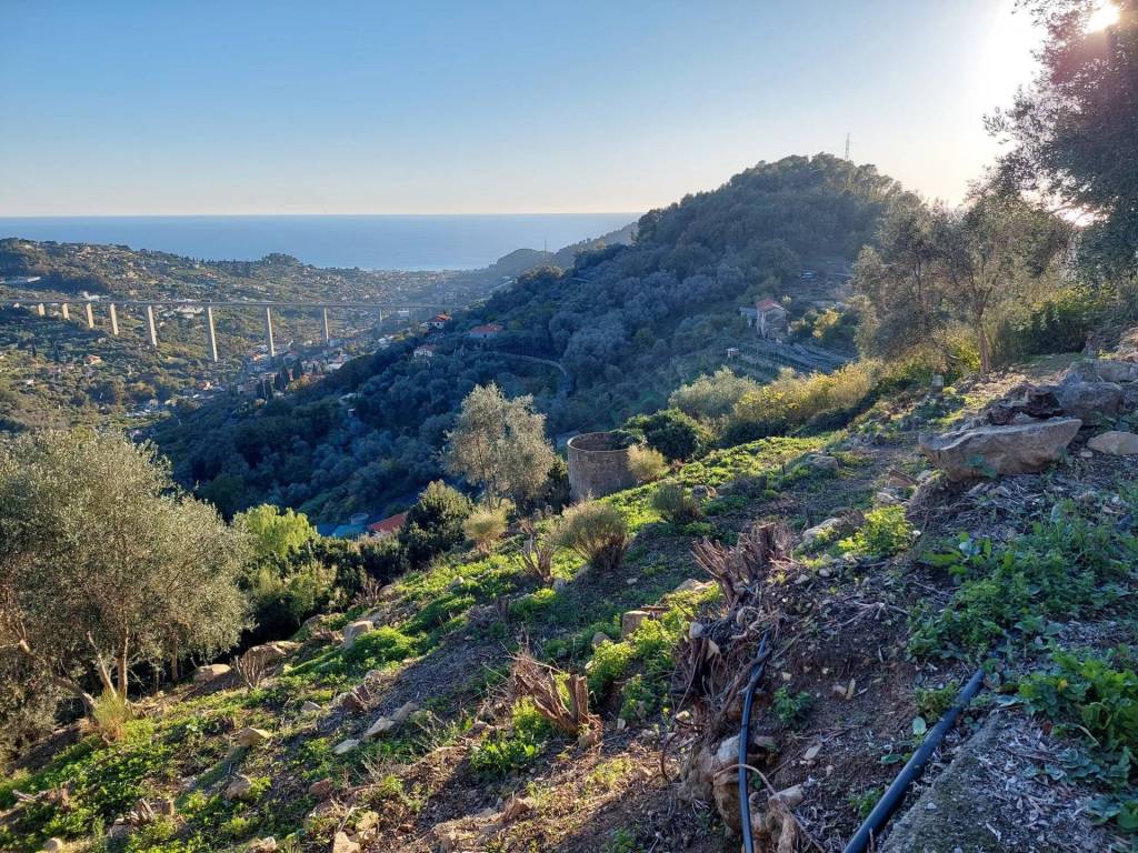Terreno a Bordighera - Foto 2