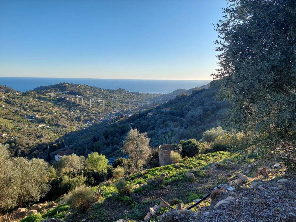 Terreno a Bordighera - Foto 3