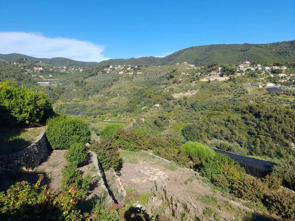 Terreno a Vallebona in Località Pin - Foto 2