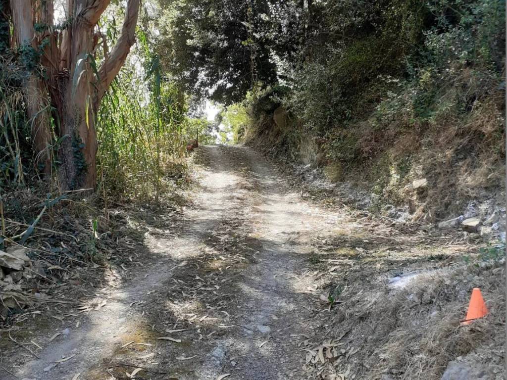 Terreno a Bordighera in Via Silvio Pellico - Foto 3