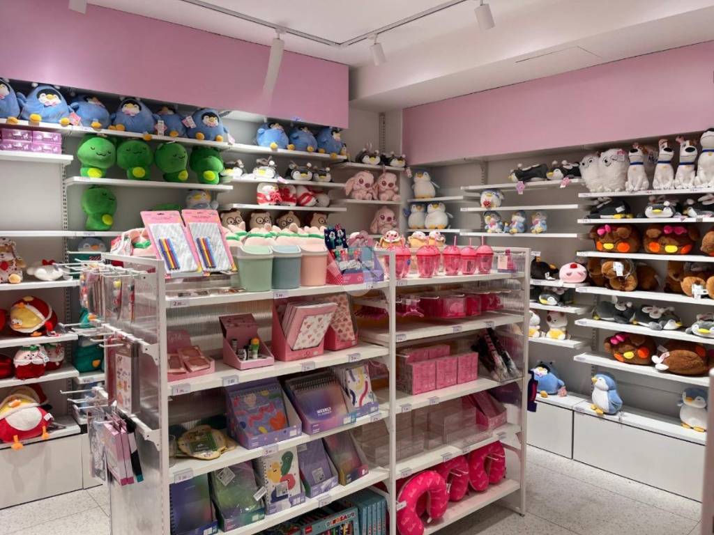 Immobile a Pavia in Strada Nuova, 212 - Foto 3