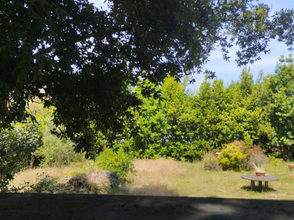 Villa a Forte dei marmi - Foto 3
