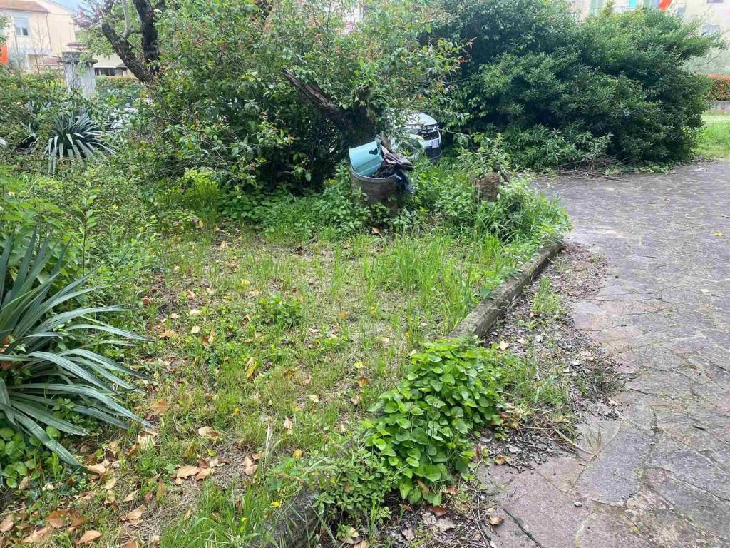 Rustico / casale a Certaldo - Foto 2