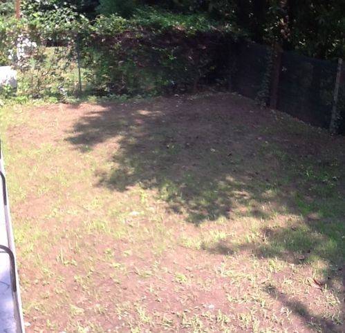 Appartamento a Mantova in Strada Chiesanuova - Foto 5