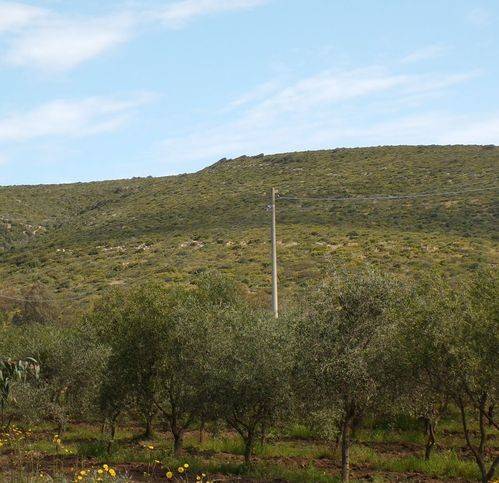 Terreno a Alghero in Via Sila - Foto 2