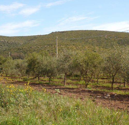 Terreno a Alghero in Via Sila - Foto 5