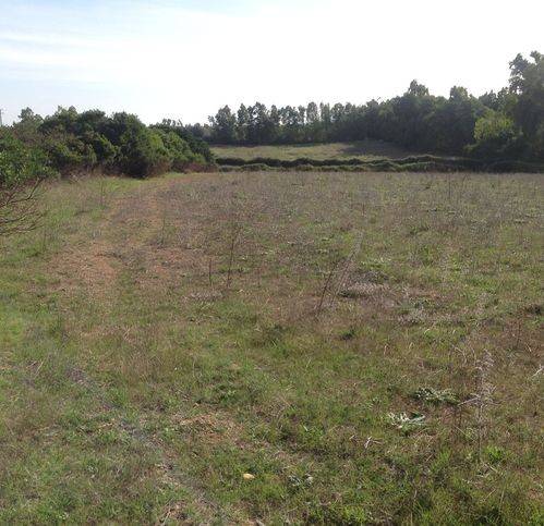 Terreno a Alghero in Località Sa Segada - Foto 3