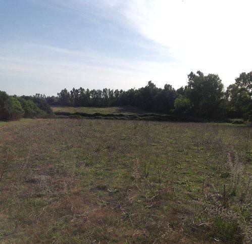 Terreno a Alghero in Località Sa Segada - Foto 4