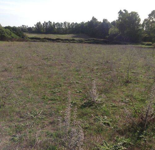 Terreno a Alghero in Località Sa Segada - Foto 5