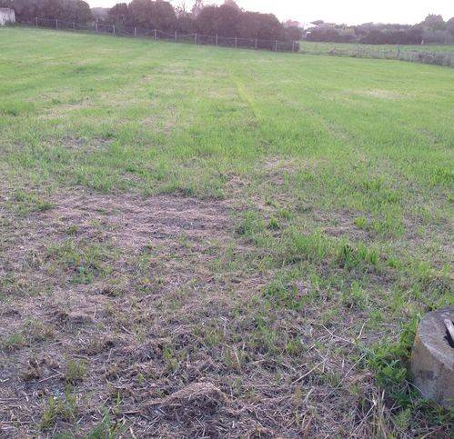 Terreno a Alghero in San Quirico - Foto 2